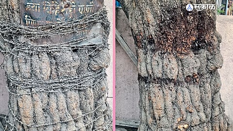 Chhatrapati Sambhajinagar