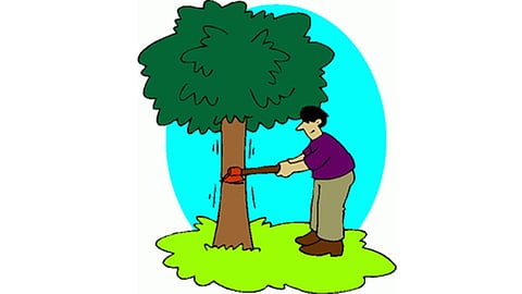 चला, झाडांची कत्तल थांबवूया !