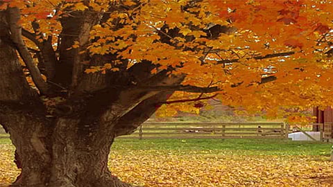 The death of a man is eternal