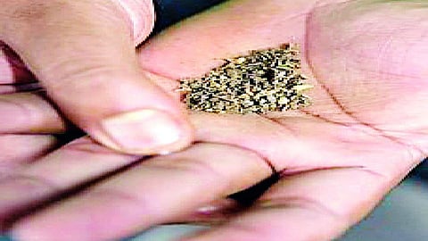 चला तंबाखू करु या कायमची लॉकडाऊन