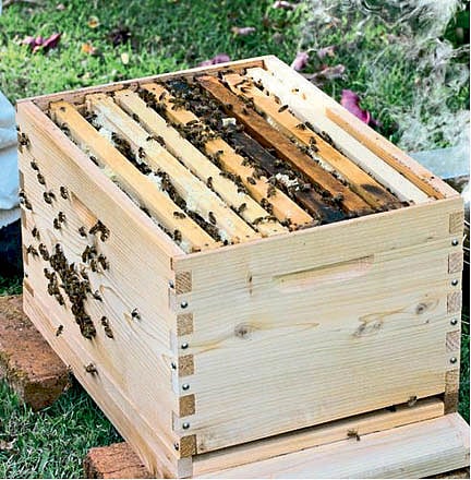 S. Lalita Reddy farmer story by sachin charati