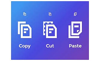 copy cut paste function in information technology