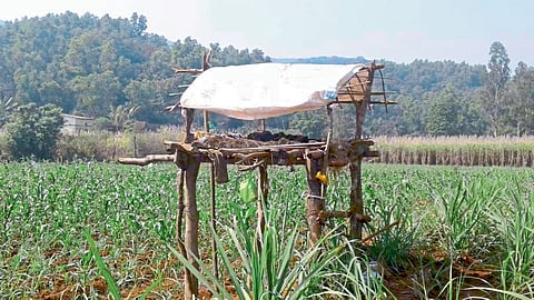 रंगराव हिर्डेकर