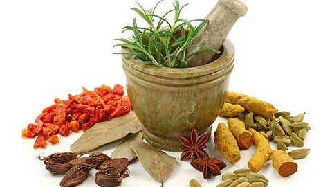 Bhasmas Need Global Recognition Rajendra Ghorpade Article On Research