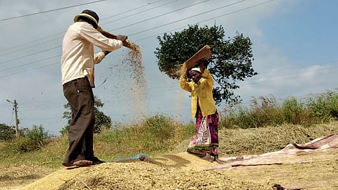 संकटांना तोंड देत ताठ मानेनं उभं राहणं, हीच तर 'आयुष्यभराची सुगी'!