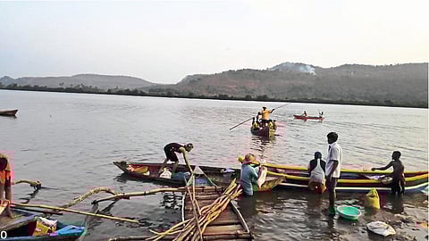 Bio Diversity Day Special Dheeraj Vatekar Article On Shimple