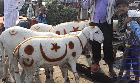 histroy of bakri eid
