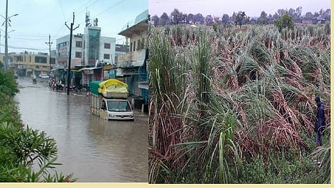 00Nilanga paus 14.jpg