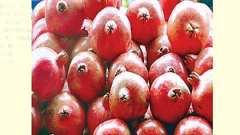 0pomegranate_8.jpg