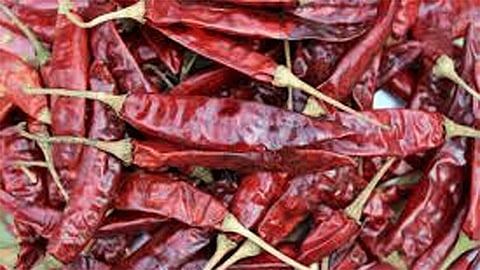 red chili rate