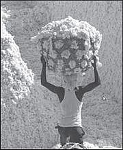 जळगावच्या अठरा शेतकऱ्यांना तीन व्यापाऱ्यांनी गंडवले