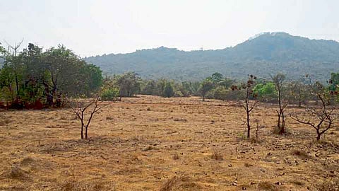 आडाळीच्या विस्ताराला फुटणार पंख