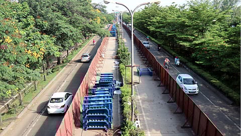 मेट्रो, बीआरटीसाठी करणार झाडांचे स्थलांतर