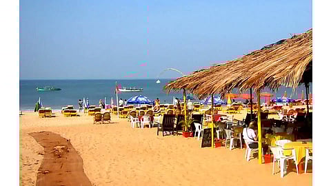 Experts Say On Decision Taken By Government About Shacks On Konkan Beach