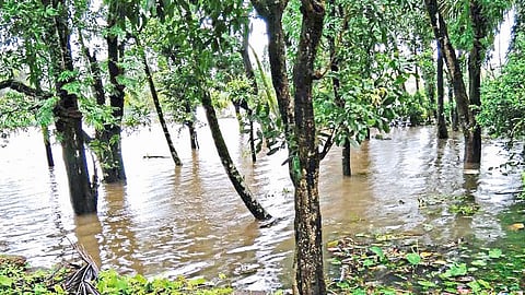 Kajali River Flood Situation Ratnagiri Marathi News