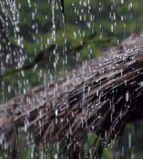 1raining_12
