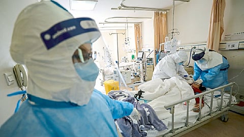 सर्च-रिसर्च : ‘नेचर’चे प्रशंसनीय पाऊल