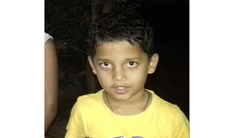 सांगलीत साप चावल्याने सात वर्षीय बालकाचा मृत्यू