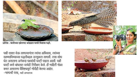 तहानलेल्या पक्षांना पाणी देता देता जपला छंद