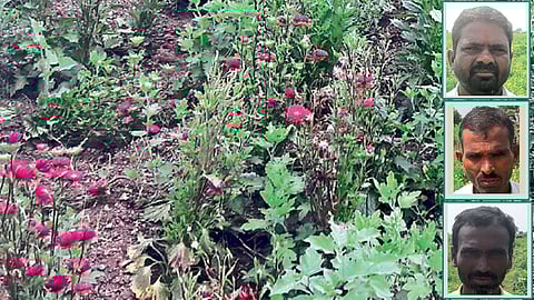 तिघा बंधूंच्या कष्टाची प्रेरक गाथा