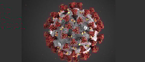 2coronavirus