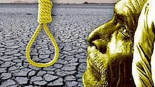 Twelve cases of farmers committing suicide due to indebtedness have been declared ineligible for government assistance