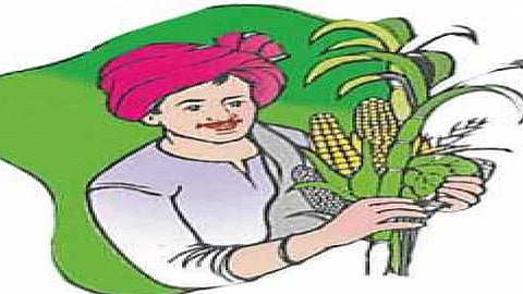 Experiment of a farmer in Sadoli 34 bags of rice grown in 15 bags