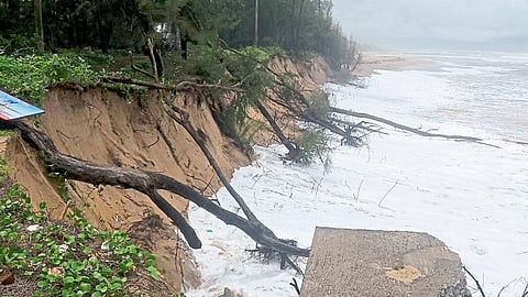 Erosion Of Devgad Tambaldeg Coastal Area Due To Heavy Waves Hits