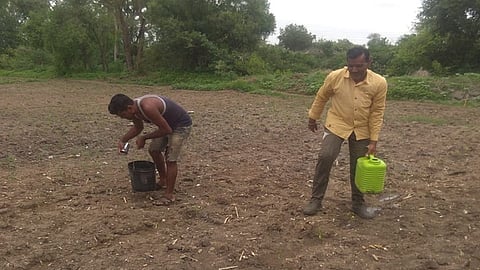 टेंभुर्णी : कपाशीच्या इवल्याशा रोपांना ग्लासभर पाणी टाकताना शेतकरी.