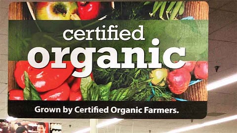 पन्हाळा तालुक्यात चार सेंद्रिय शेती गटांना ‘ग्रीन सर्टिफिकेट’