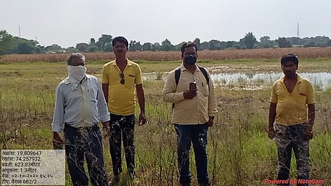 700 hectares of crops affected by heavy rains nashik marathi news