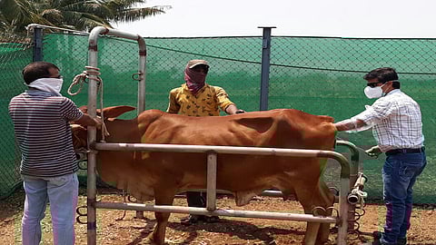 सरकार मायबाप आमची सुरक्षितता तुमच्या हाती