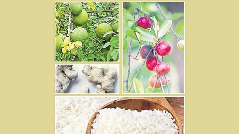 पथ्यापथ्य-अतिसार