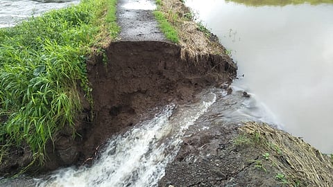 लोणार : कृषी विभागाचा पाझर तलाव फुटला