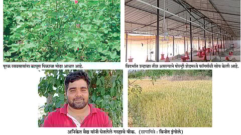 बॅंक अधिकारी झाला पूर्णवेळ प्रयोगशील शेतकरी