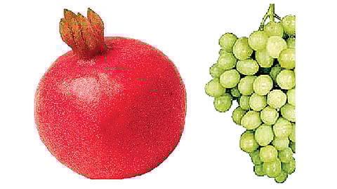 डाळिंबात घसरण, द्राक्षात तेजीचे संकेत