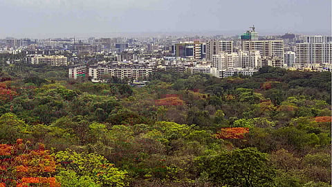 आदिवासी पाड्याचे पुनर्वसन वर्षभरात नॅशलन पार्क,आरेसाठी 90 एकर जागा राखीव