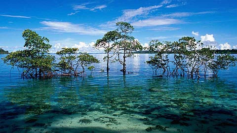 Andaman Islands