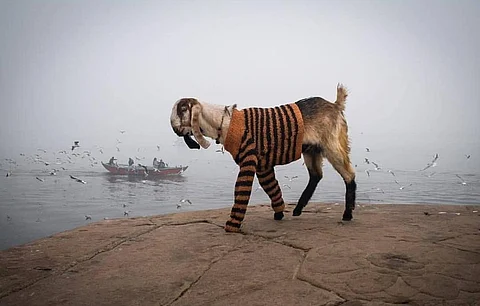 It was cold in Maharashtra in November