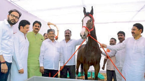 इंदापूर - कृषी महोत्सवात घोड्यांची पाहणी करताना चंद्रकांत पाटील, हर्षवर्धन पाटील, अप्पासाहेब जगदाळे आणि इतर मान्यवर.
