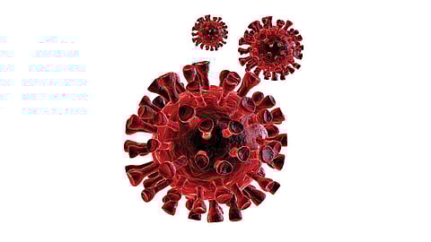 Coronavirus राज्यात कोरोनाचा पहिला बळी