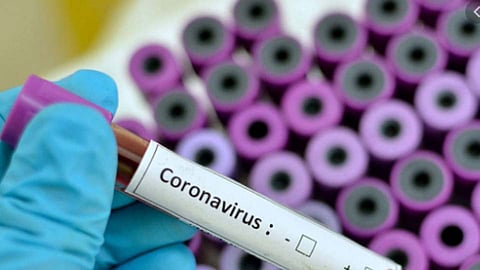 Coronavirus : राज्यात कोरोनाग्रस्तांचा आकडा वाढला; मृतांच्या संख्येतही वाढ