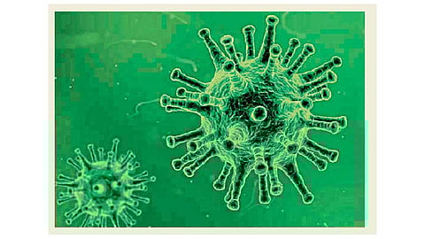 Coronavirus-virus