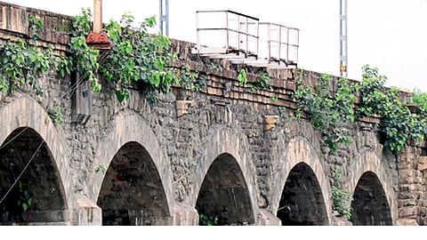 दापोडी - नदीवर असलेला ब्रिटीशकालीन पुलाच्या कठड्यांवर वाढत असलेली पिंपळाची झाडे