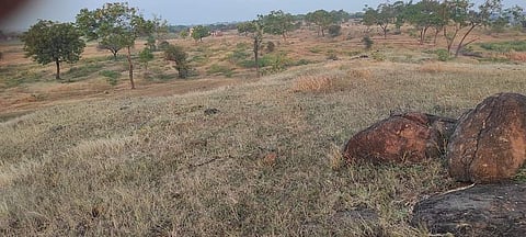 Degao Mahade mal.jpg