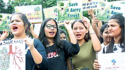 मुंबईचे ‘ॲमेझॉन’ धोक्यात