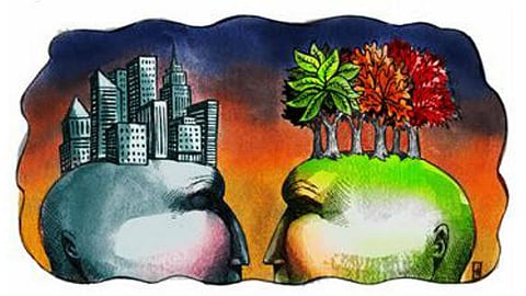 Environment-and-Sustainable