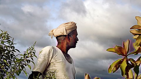 representational image of Farmer