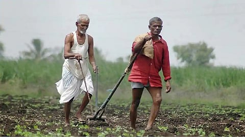 गेल्या ११ महिन्यात राज्यात २ हजार २७० शेतकऱ्यांच्या आत्महत्या