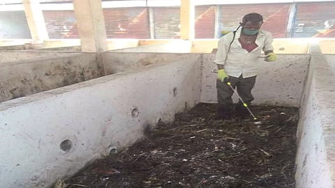 Garbage Into Fertilizer